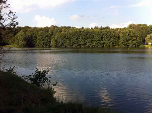 waldsee_maroth_gross_2