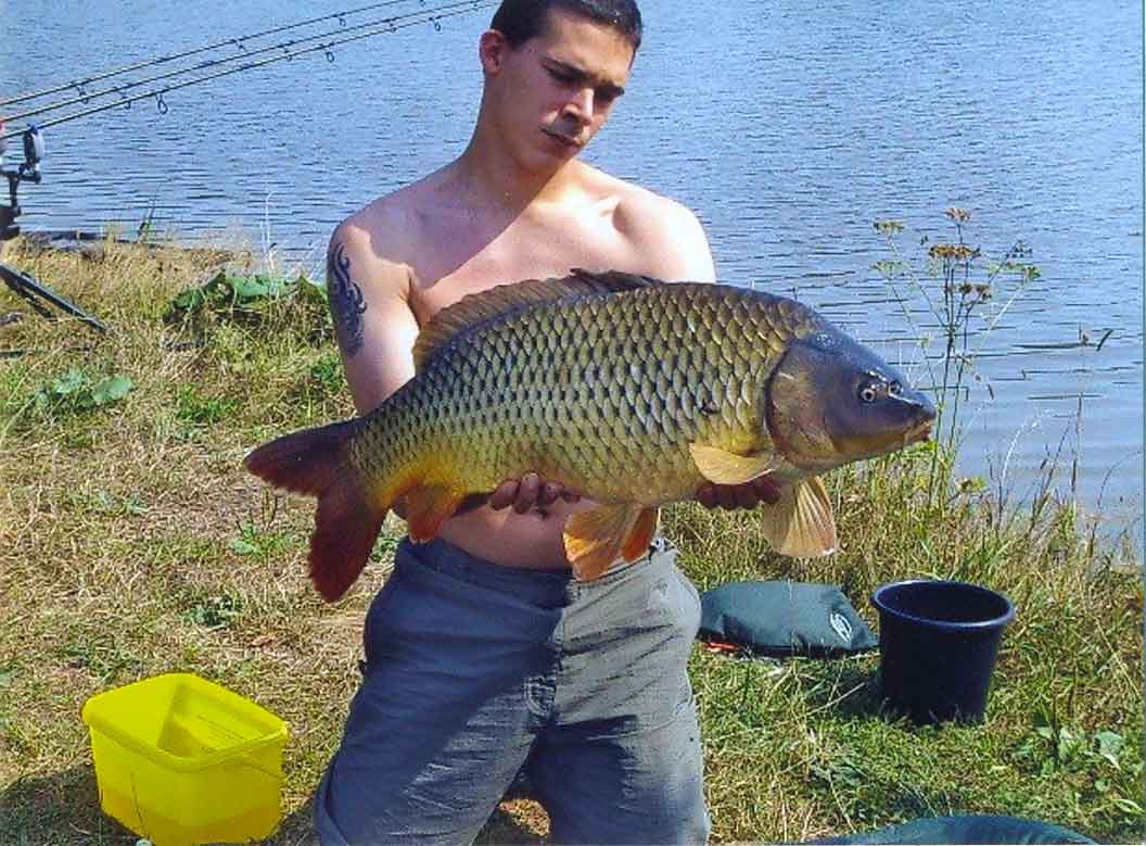 Anfüttern am Karpfenteich