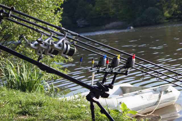 Angelzubehör nach Zielfisch