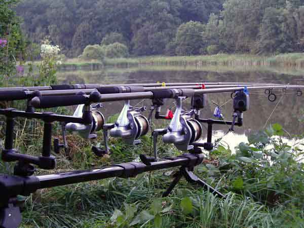 2 Forge tackle Bullet carp rods (Karpfenruten) in Berlin