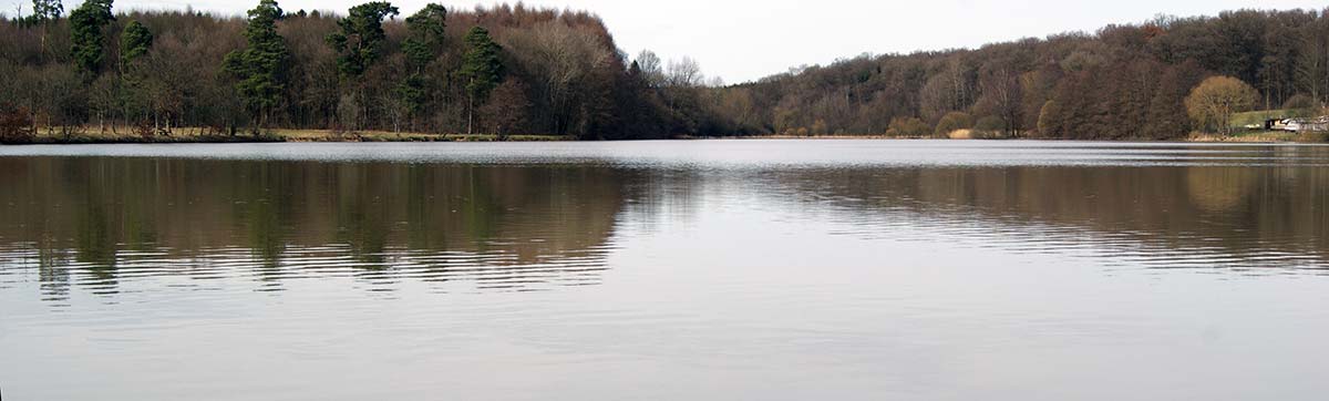 Der Waldsee in Maroth