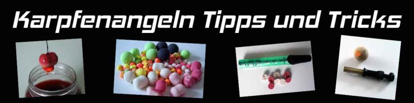 Karpfenangeln Tipps und Tricks