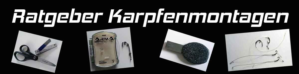 Ratgeber Karpfenmontage und Karpfen Vorfach